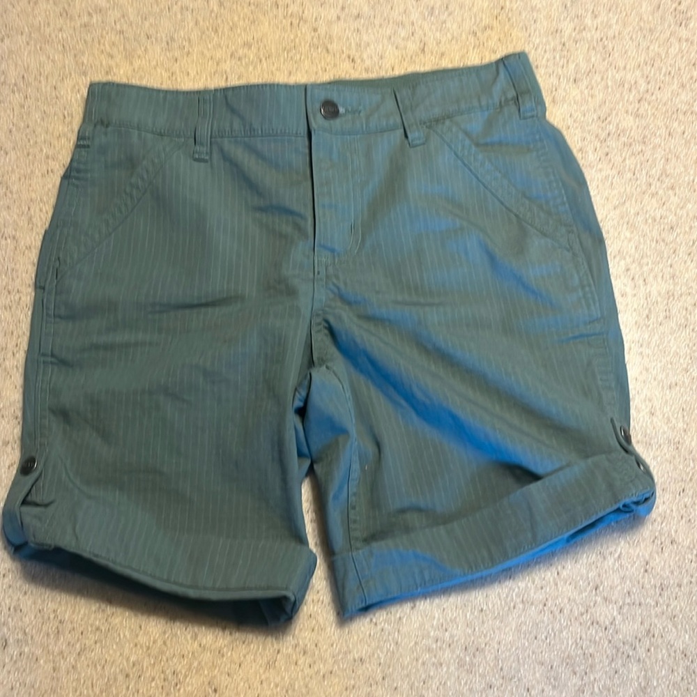 Carhartt shorts, nwot